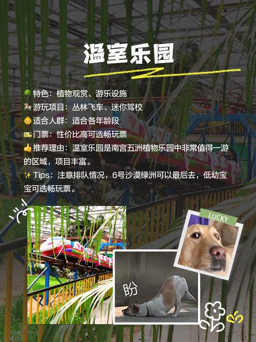 南宫市天气预报？南宫市天气预报40天查询？-第2张图片-优品飞百科