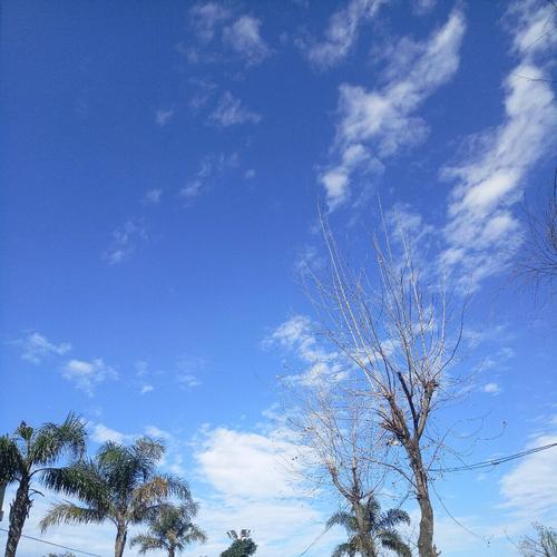 天气预报金乡，金乡天气预告-第2张图片-优品飞百科