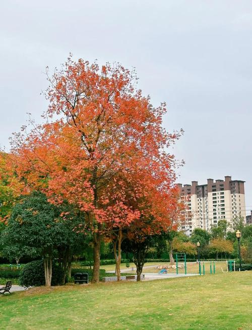 霍邱县天气预报？霍邱县天气预报30天？-第3张图片-优品飞百科