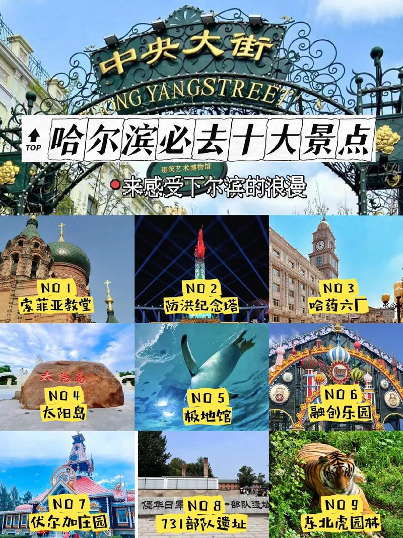 哈尔滨松北区天气预报，哈尔滨松北区天气预报一周7天？-第1张图片-优品飞百科