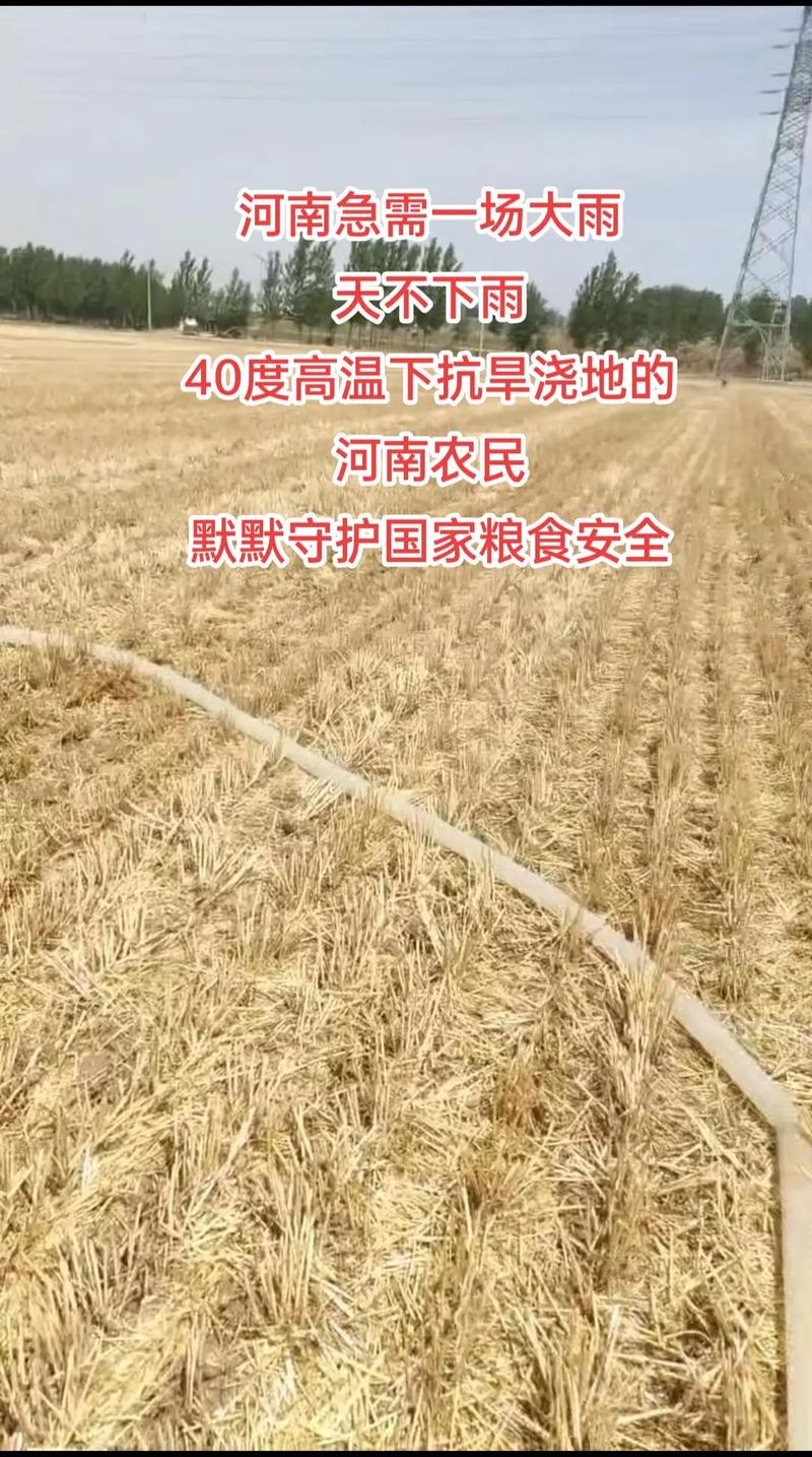 河南最新天气预报，河南最新天气预报15天查询百度？-第3张图片-优品飞百科