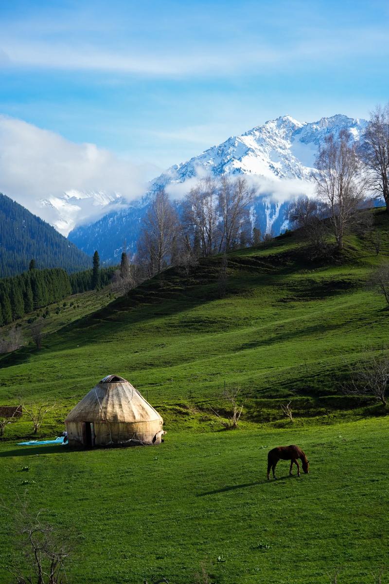 乌市天气预报，乌市天气预报一周7天查询？-第4张图片-优品飞百科