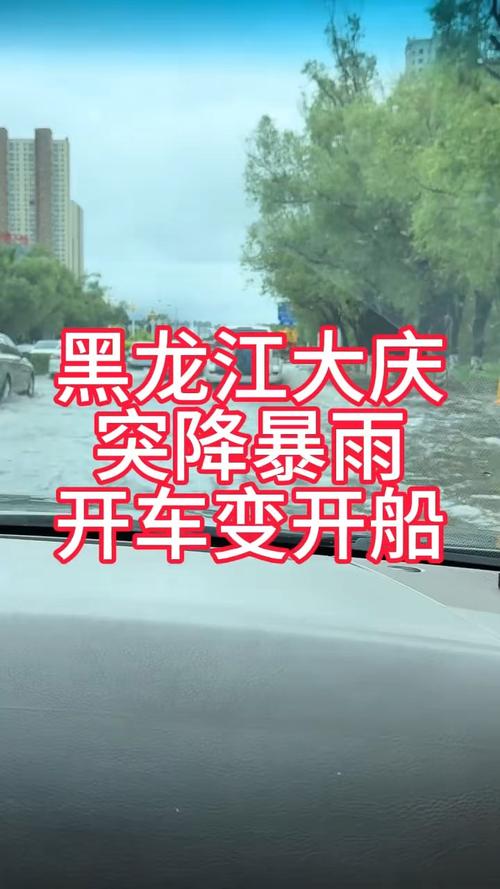 肇源一周天气预报？肇源县天气预报最近15天的？-第1张图片-优品飞百科