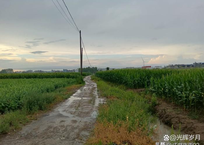 河南邓州天气预报？河南邓州天气预报最新今天？-第4张图片-优品飞百科