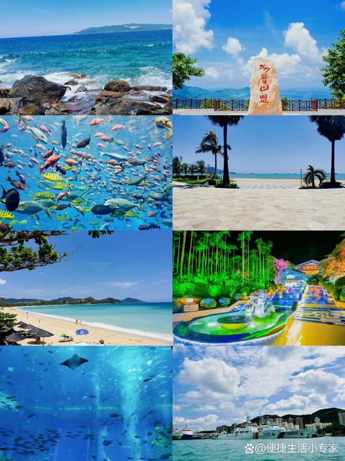 香洲区天气预报，香洲区天气预报 未来三天-第1张图片-优品飞百科