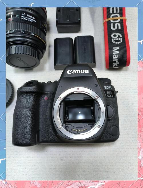 佳能6d是什么镜头口，佳能6d配什么镜头比较好？-第2张图片-优品飞百科