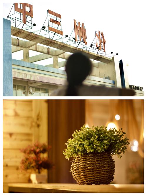 佳能6d是什么镜头口，佳能6d配什么镜头比较好？-第3张图片-优品飞百科