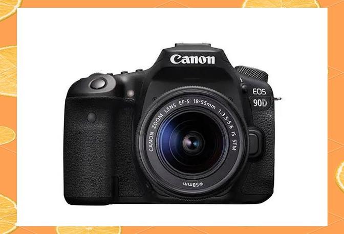 佳能为什么比尼康贵?为什么佳能口比尼康口便宜?-第2张图片-优品飞百科 佳能为什么比尼康贵?为什么佳能口比尼康口便宜?-第2张图片-优品飞百科