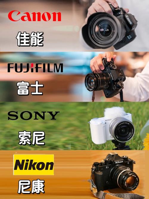 佳能为什么比尼康贵?为什么佳能口比尼康口便宜?-第4张图片-优品飞百科 佳能为什么比尼康贵?为什么佳能口比尼康口便宜?-第4张图片-优品飞百科