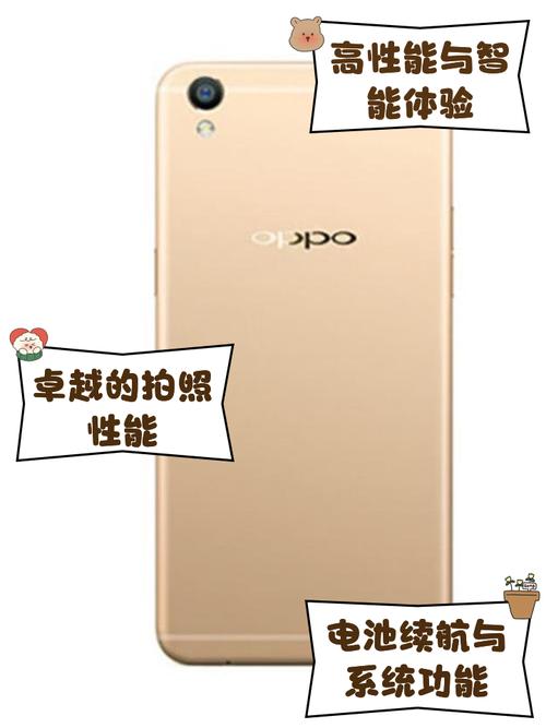 oppor9plustma换屏多少钱，oppor9plus换屏幕？-第3张图片-优品飞百科