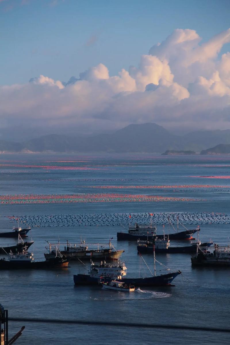 霞浦天气预报？霞浦天气预报15天准确天气情况查询？-第6张图片-优品飞百科