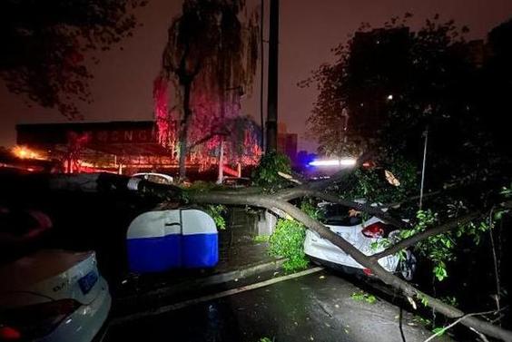 四川安岳县天气预报，四川安岳县天气预报7天一周？-第2张图片-优品飞百科