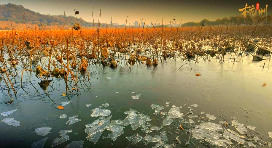 杭州西湖区天气预报？杭州西湖未来15天天气？-第1张图片-优品飞百科