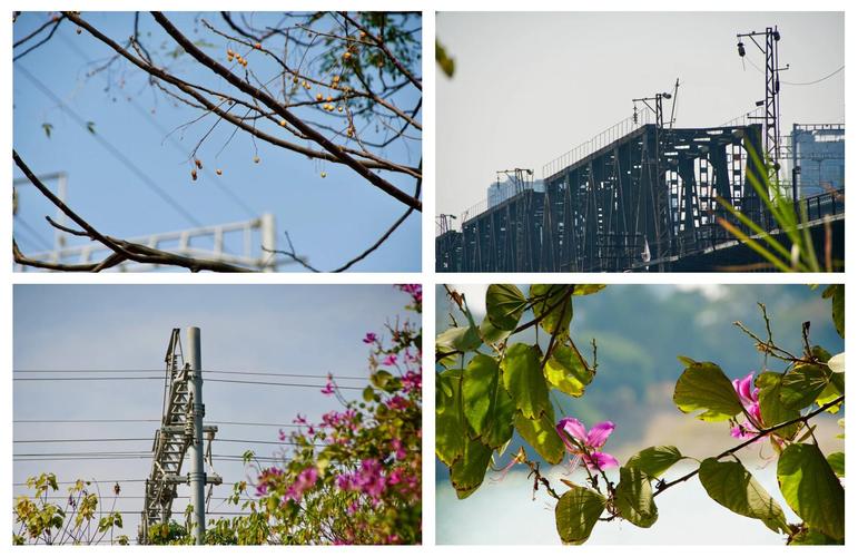 适马18200和佳能18200哪个好?？适马18200和佳能18200？-第5张图片-优品飞百科