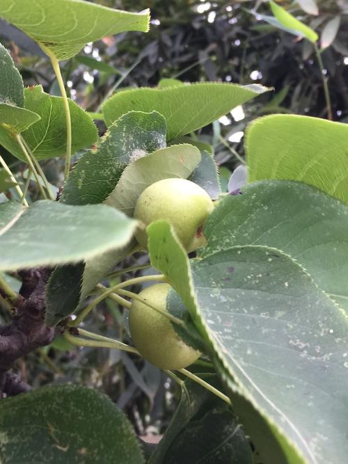 河北易县天气预报，河北易县天气预报一周？-第3张图片-优品飞百科