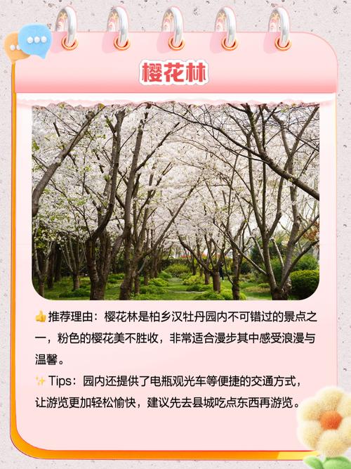 天气预报柏乡？天气预报柏乡30天查询？-第1张图片-优品飞百科