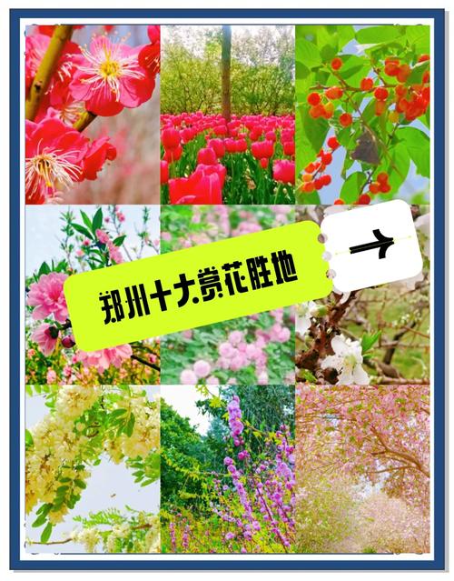 明港天气预报一周天气，明港天气最新消息？-第1张图片-优品飞百科