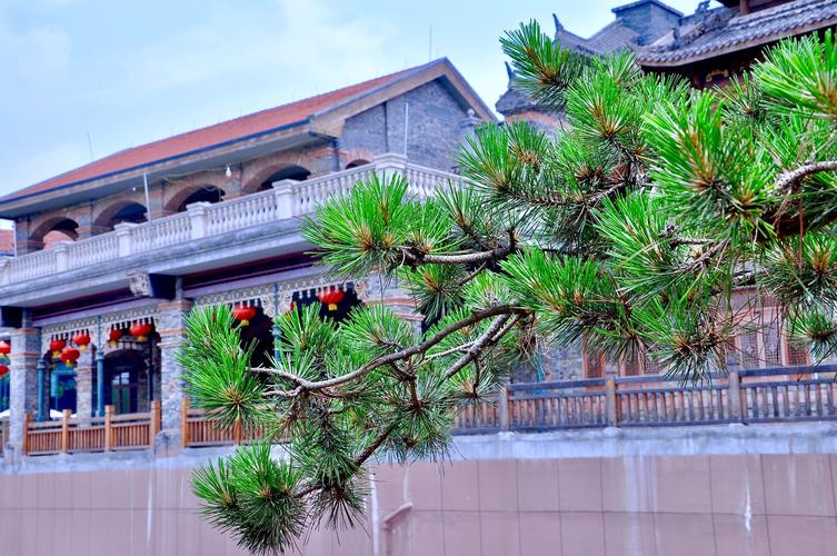 硚口天气预报，硚口天气预报7天-第1张图片-优品飞百科