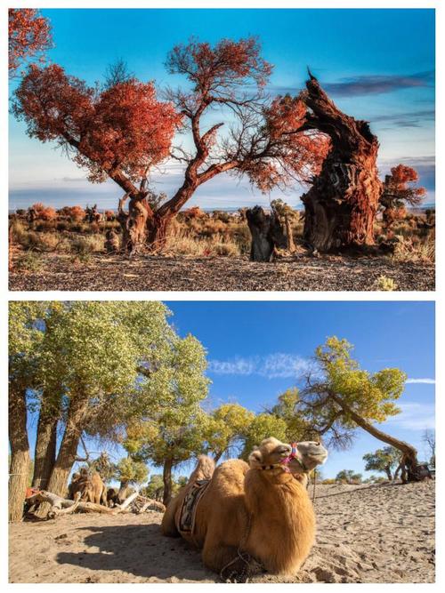 青海西宁市天气预报？青海西宁地区天气预报？-第2张图片-优品飞百科