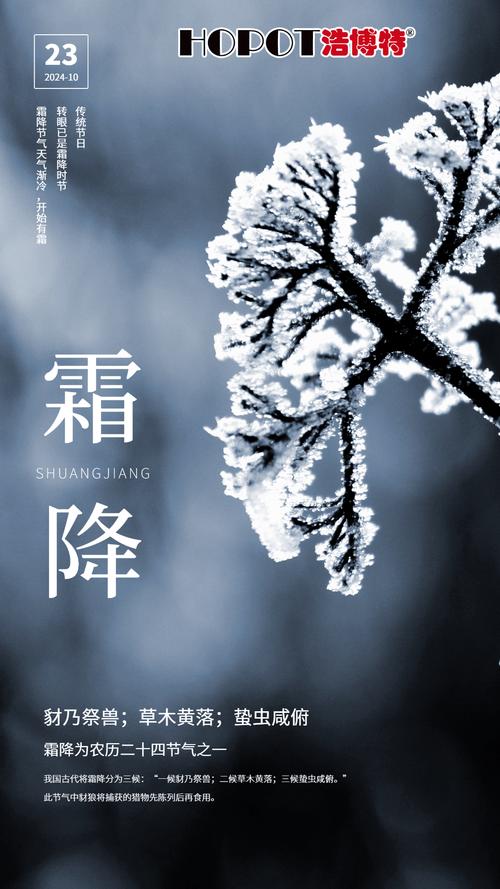 蚌埠禹会区天气预报，蚌埠禹会区天气预报15天查询？-第1张图片-优品飞百科