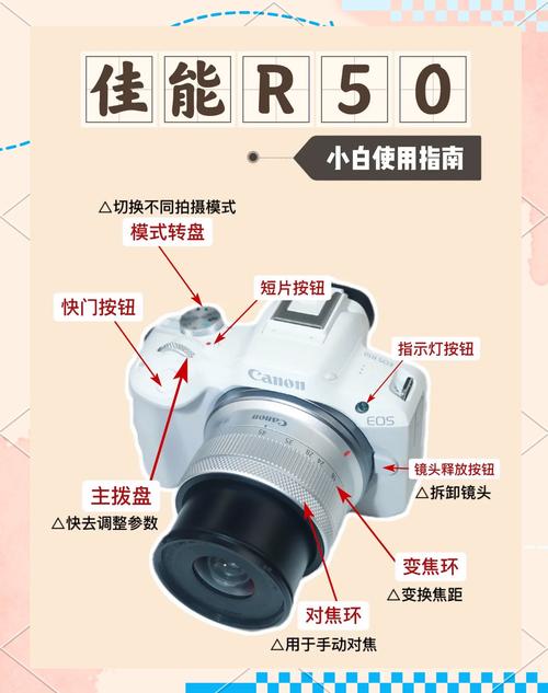 佳能50d怎么对焦，佳能50d怎么手动对焦-第1张图片-优品飞百科