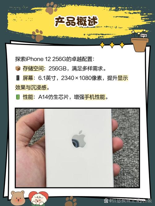 苹果a1429支持电信吗，a1429支持4g吗？-第4张图片-优品飞百科