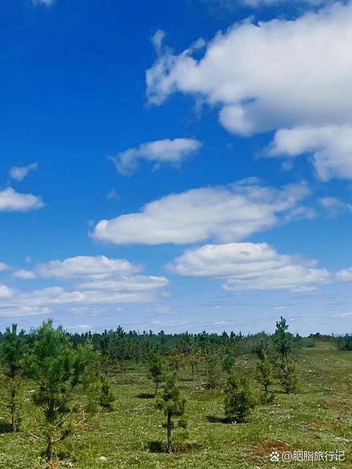 天气预报沽源，天气预报沽源九连城？-第4张图片-优品飞百科