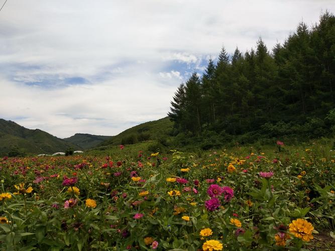 酉阳县天气预报一周，酉阳自治县天气预报？-第1张图片-优品飞百科