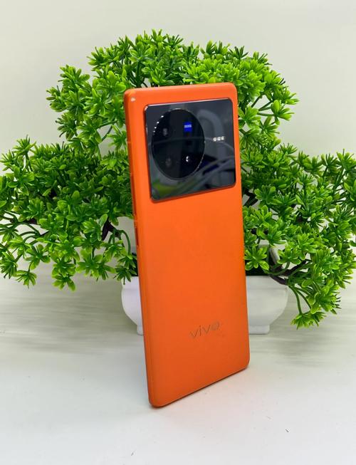 vivox80多少钱一部，vivox80-第5张图片-优品飞百科