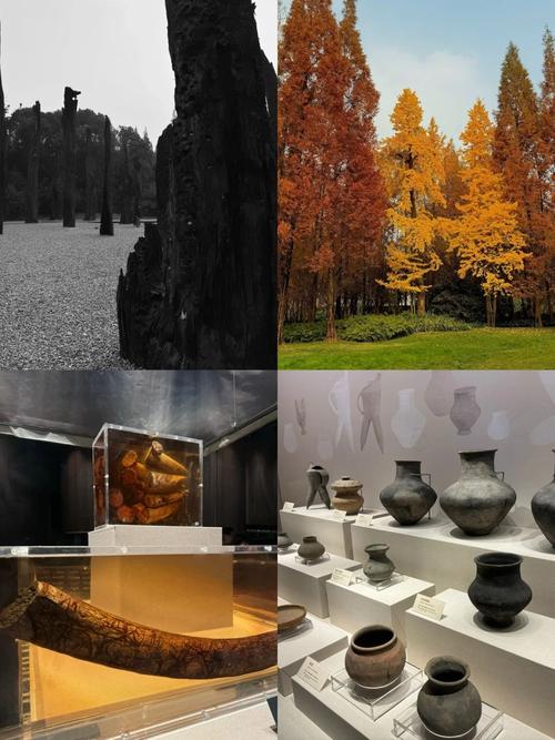 广元三星堆在哪里，四川广元三星堆的地图？-第2张图片-优品飞百科