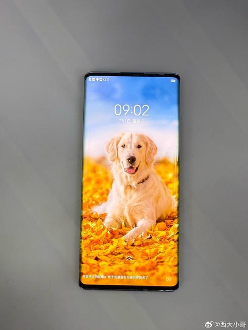 vivonex最新发布会，vivo新旗舰nex发布会-第2张图片-优品飞百科