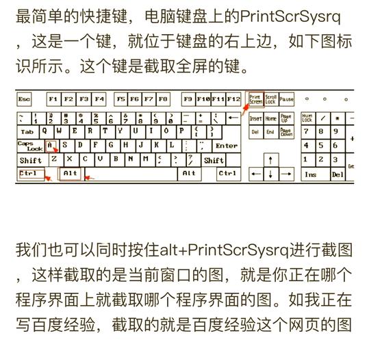 电脑如何截屏提取文字？电脑截屏提取文字快捷键？-第5张图片-优品飞百科