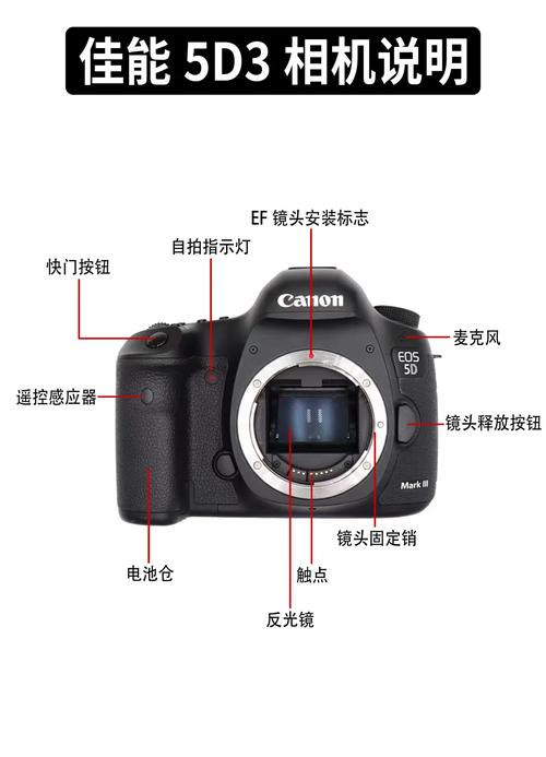 佳能5d3和佳能5d4有什么区别，佳能5d4与佳能5d3区别-第3张图片-优品飞百科