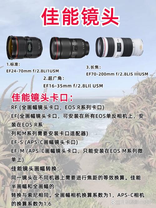 长焦镜头是常用的镜头吗？长焦镜头主要用于哪些场景？-第2张图片-优品飞百科