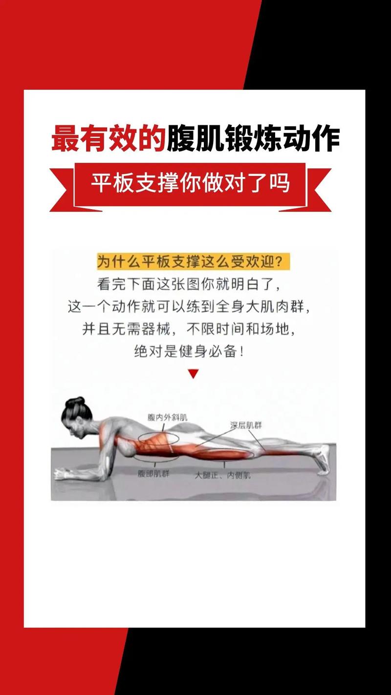 每天做平板支撑有什么好处？每天做平板支撑对身体有什么好处？-第2张图片-优品飞百科