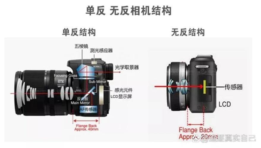 相机单反好还是无反好，单反和无反哪个拍摄效果好？-第1张图片-优品飞百科