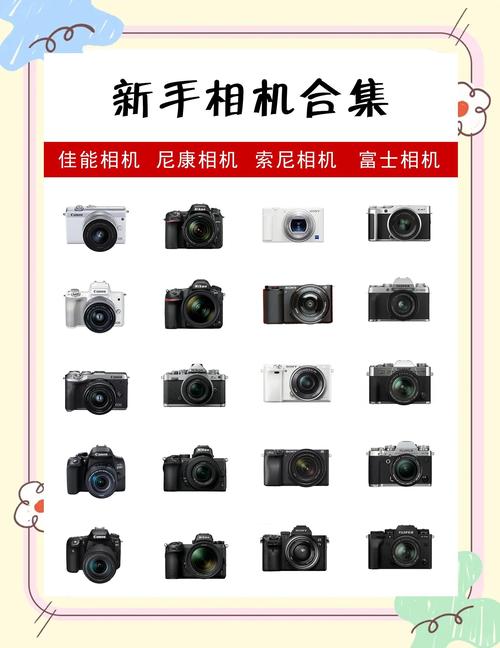 相机单反好还是无反好，单反和无反哪个拍摄效果好？-第2张图片-优品飞百科