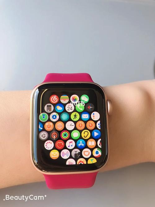 苹果s5是什么时候上市的？苹果s5上市时间？-第5张图片-优品飞百科