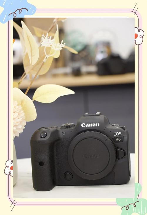 佳能2000万像素单反？佳能两千万像素的单反？-第3张图片-优品飞百科