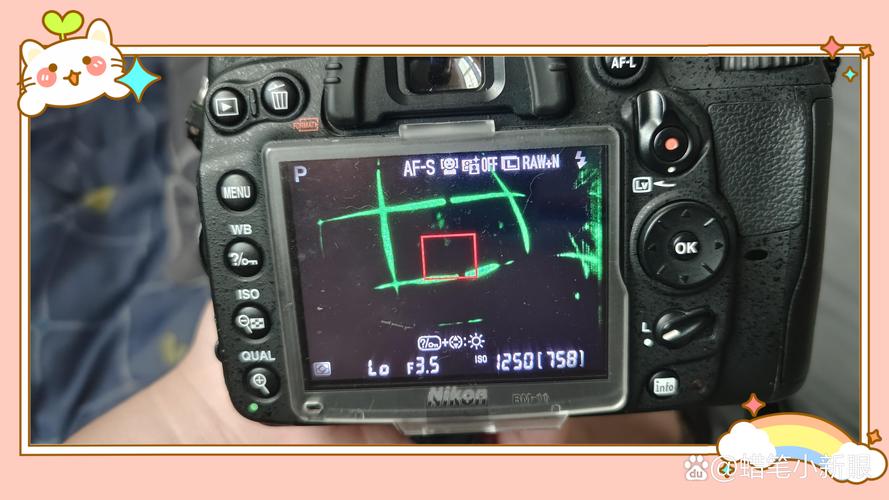 尼康d7000实时取景功能？尼康d7000实时取景功能在哪？-第2张图片-优品飞百科