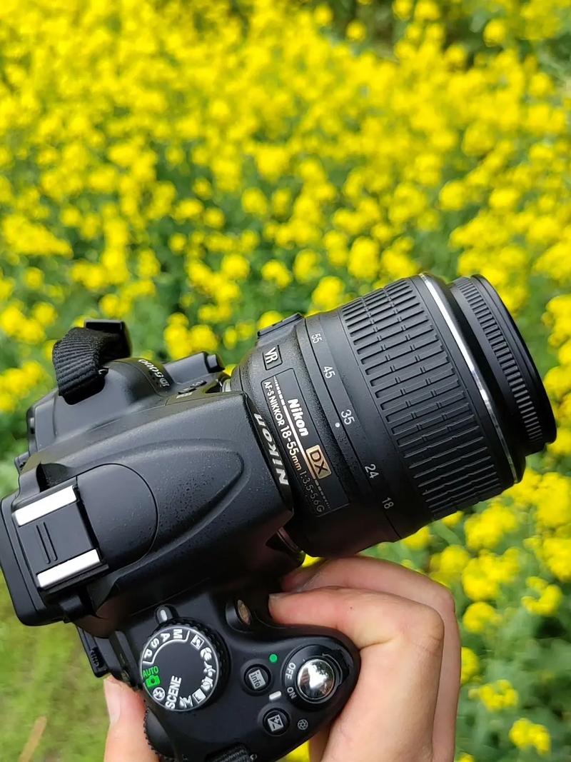 尼康d5000系列哪个好，尼康d5000和5100-第3张图片-优品飞百科