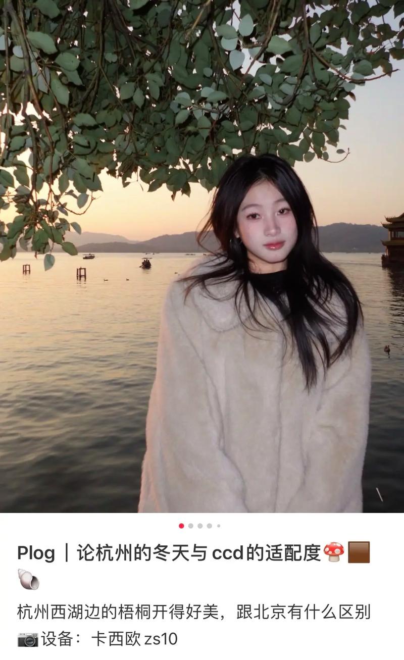 卡西欧数码相机是ccd吗，卡西欧相机是单反吗？