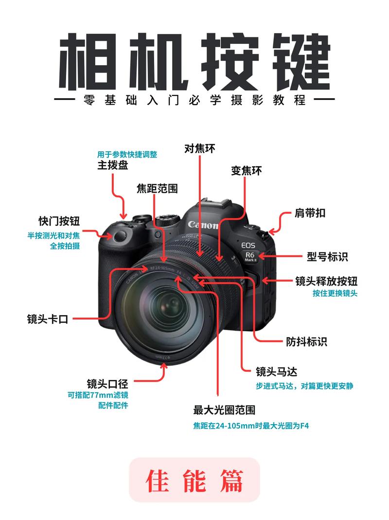 eos450d能旋转屏幕吗，eos 450d-第3张图片-优品飞百科
