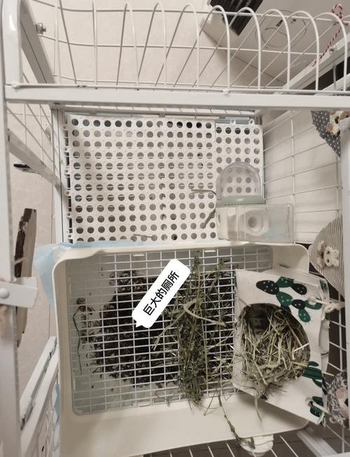 佳能r6手柄?佳能r5手柄?-第2张图片-优品飞百科 佳能r6手柄?佳能r5手柄?-第2张图片-优品飞百科