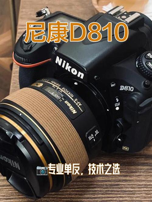 尼康卡口广角镜头推荐，尼康f卡口广角-第2张图片-优品飞百科