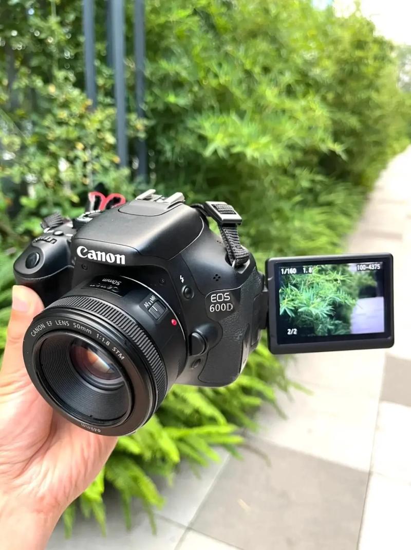 佳能600d拍摄模式，佳能600d实时拍摄模式？-第3张图片-优品飞百科