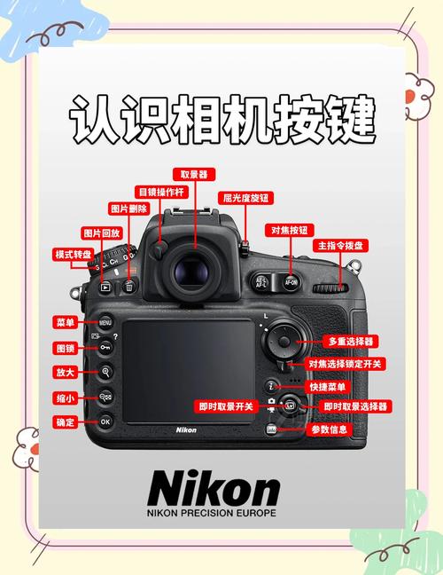 尼康d80使用方法，尼康d80使用方法视频教程-第2张图片-优品飞百科