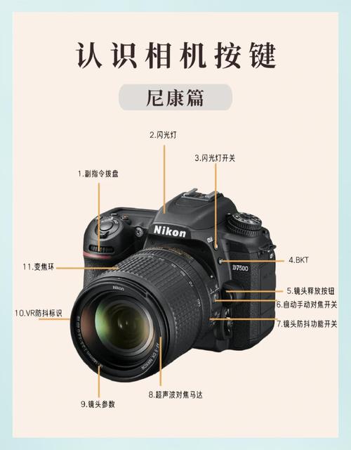 尼康d5600和d7500买哪个，尼康d5600和d750哪个好？