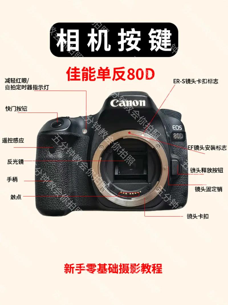 佳能eos80d按键介绍，佳能相机eos80d按键功能介绍？