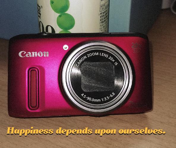 佳能sx240hs充电口在哪，佳能sx200is充电器？-第2张图片-优品飞百科